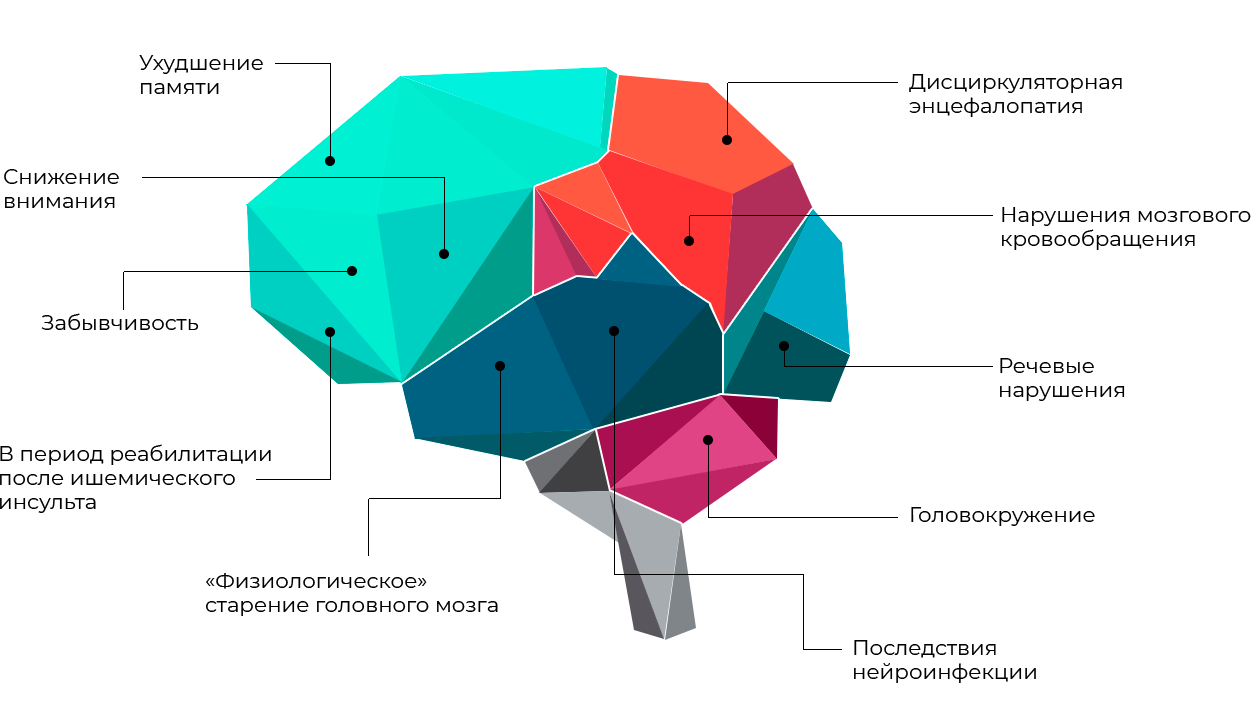 Максотропил (пирацетам) применяется при следующих нарушениях и состояниях Максотропил (пирацетам) применяется при следующих нарушениях и состояниях